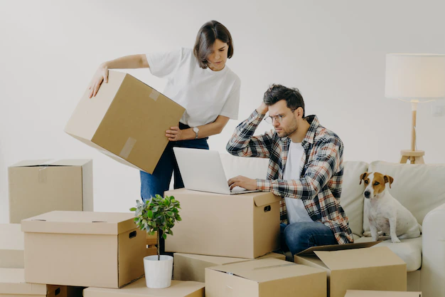 Professional packers and movers